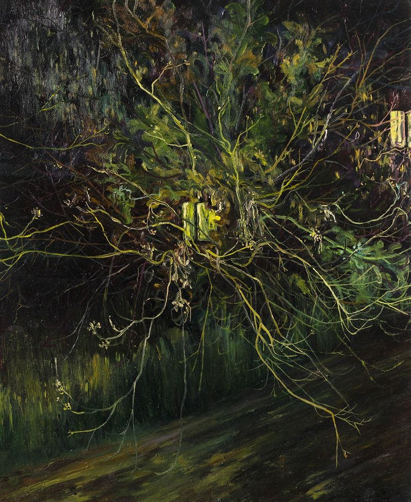 Saeed Khaleghi, Untitled, 2020