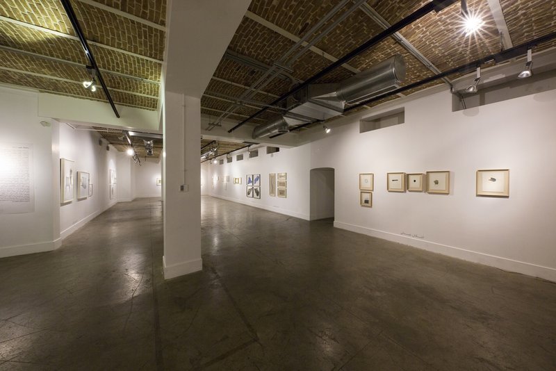 Encircle the Apple or Shadowlessness, installation view