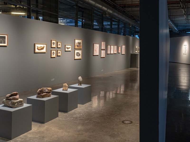 Dead Body, installation view