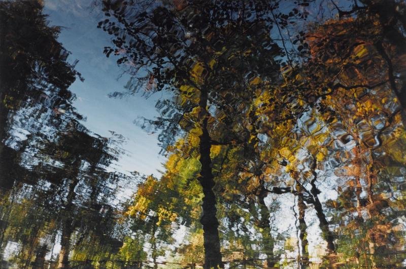 Abbas Kiarostami, Reflection on the Water, 2000