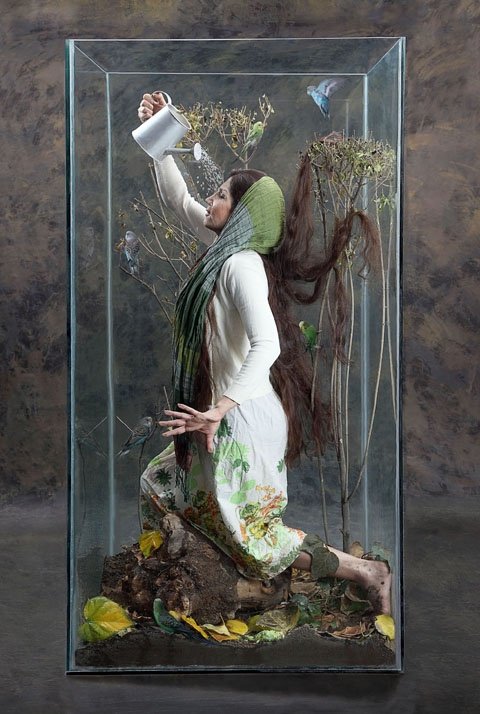 Mahsa Alikhani, Untitled, 2013
