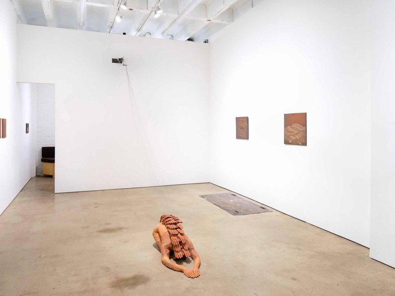A Land to Fall Sleep, installation view