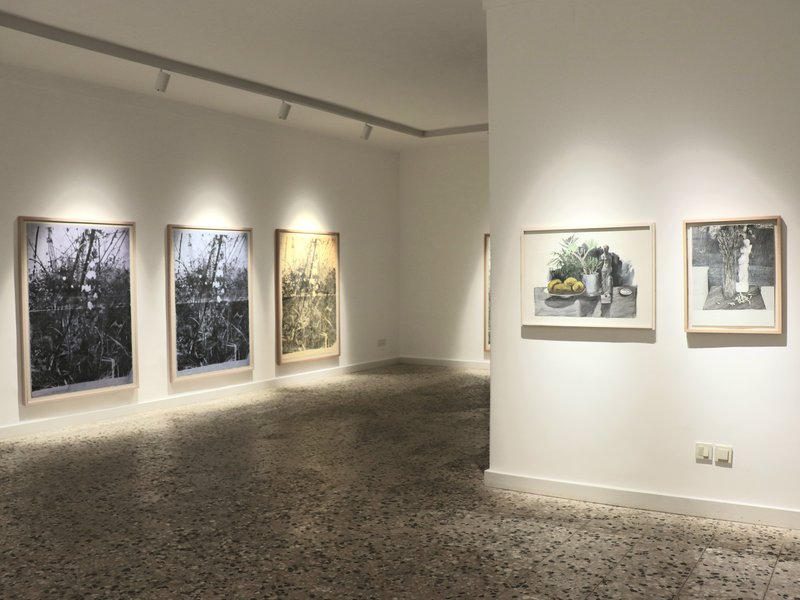 In Memory of, installation view