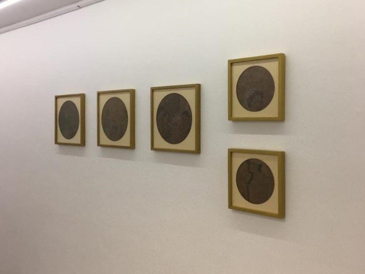 Extinct Condition, installation view