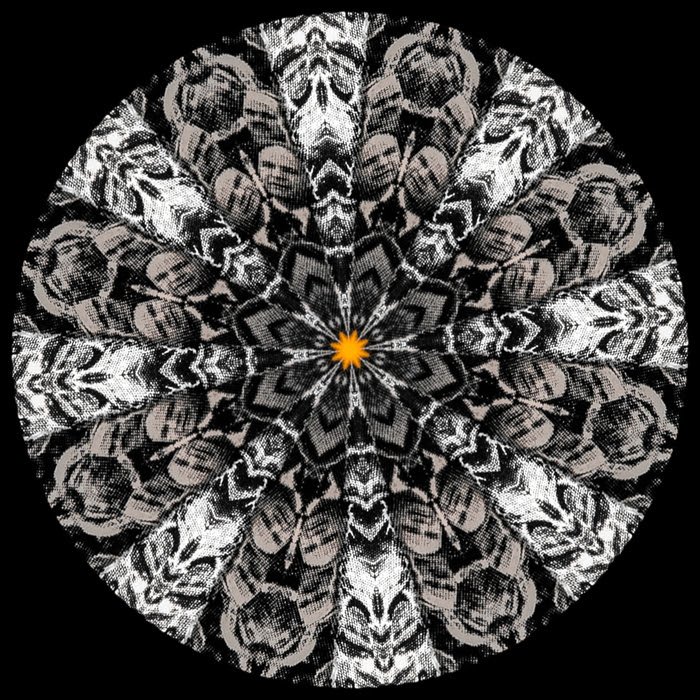 Parham Taghioff, Untitled, 2018