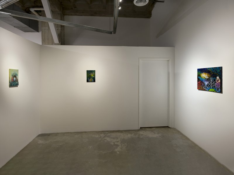 Mutations, installation view