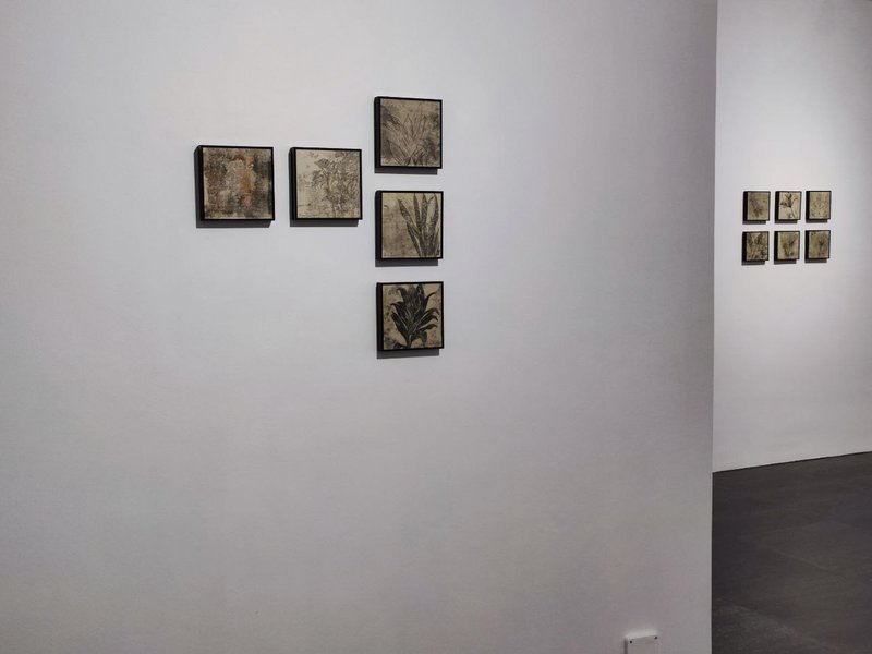 دو گیان، نمای چیدمان