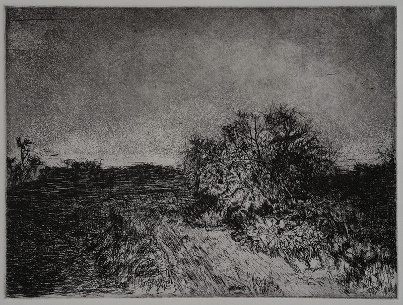 Samaneh Samimi, Untitled, 2020