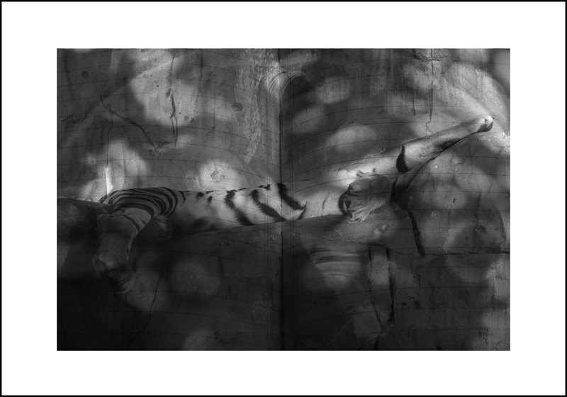 Nazanin Behzadi, The Sleep of Reason Produces Monsters, 2022
