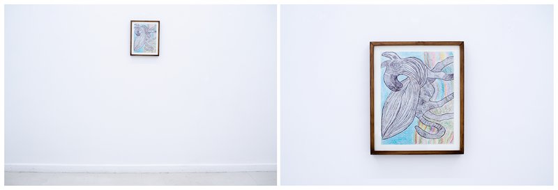 Domesticated Flowers, installation view