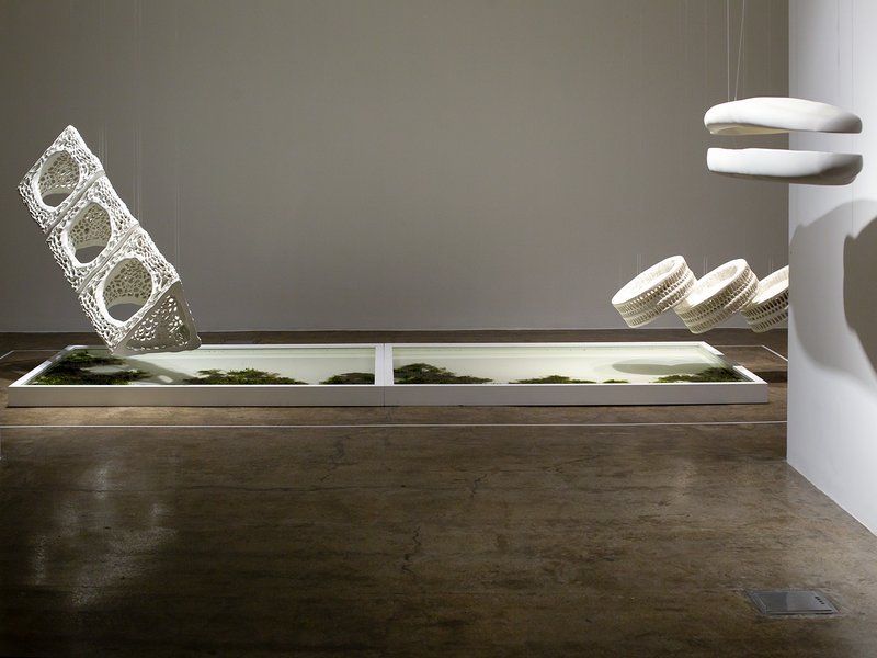 Biosis, installation view
