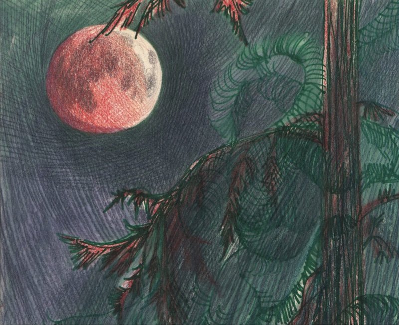 Anahita Darab Beigi, By the Moonshine, 2021