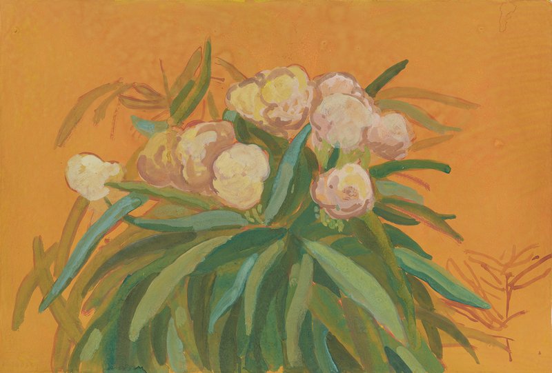 Amirhosein Esmaeili, Untitled, 2025