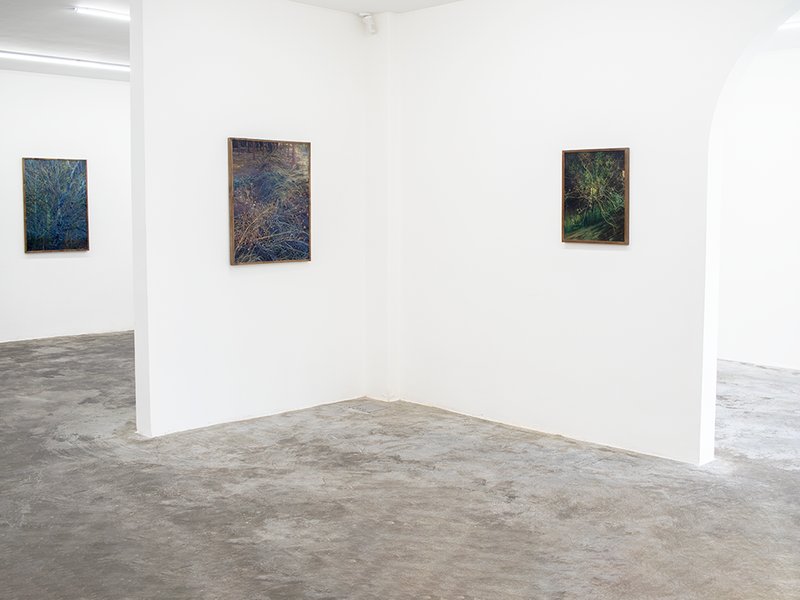 Shazdeh’s Garden, installation view