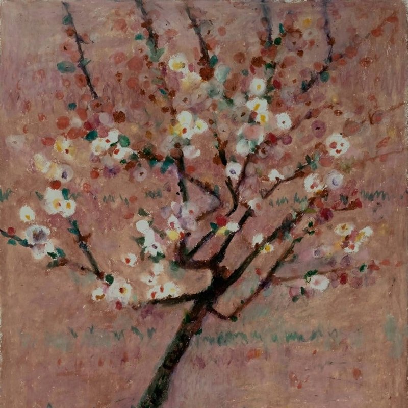 در ستایش طراحی