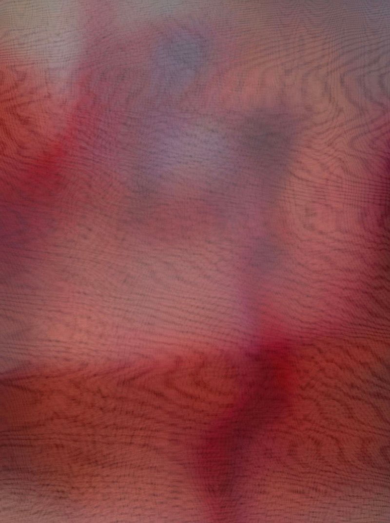 Rosha Yaghmai, Afterimage, Vein, 2024