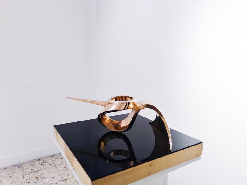 The Animal Illusion, installation view