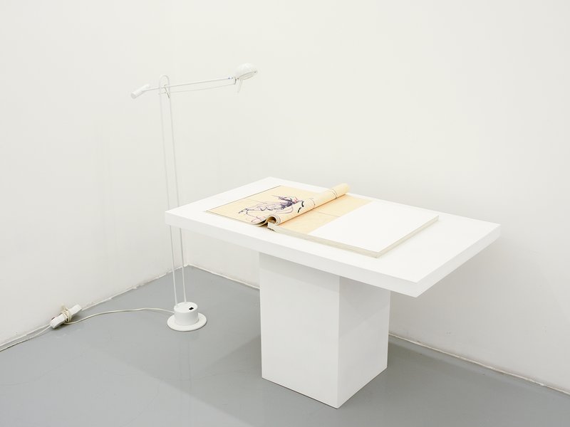 Back Hand, installation view