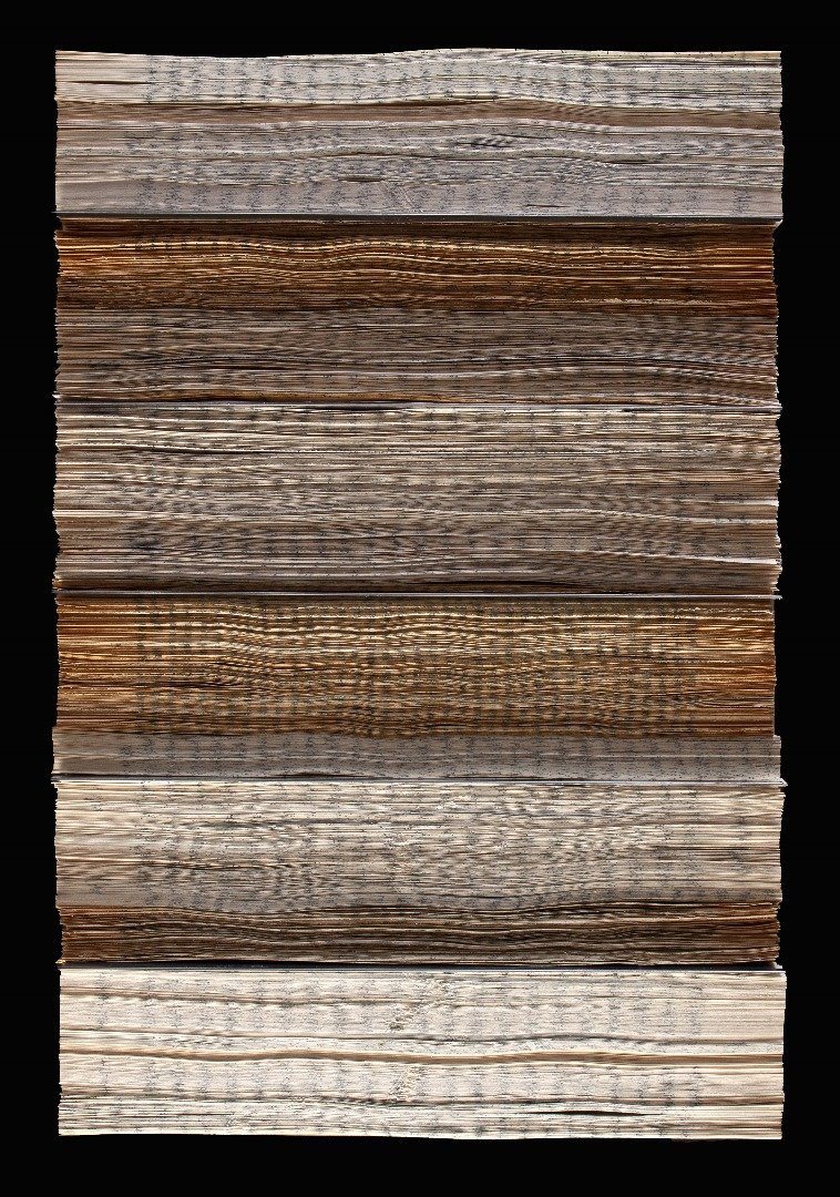 Afshan Daneshvar, Untitled, 2025