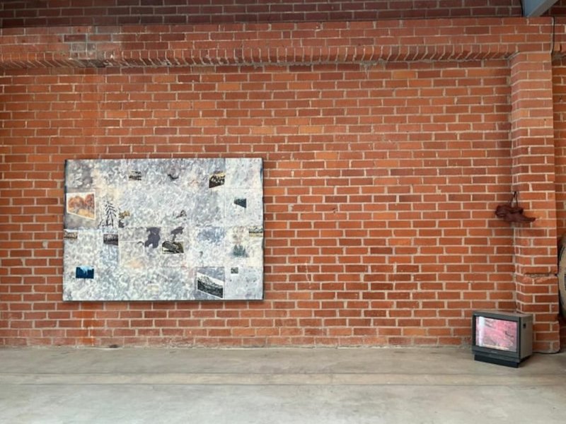To Share a Stomach, installation view
