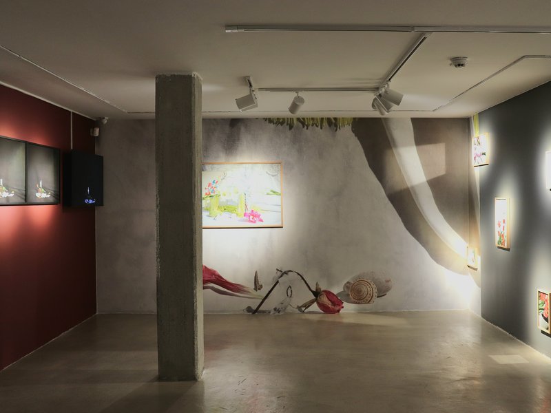Tulip, installation view