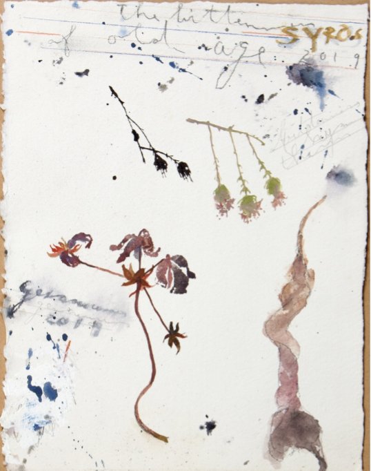 Fereydoun Ave, Untitled, 2019
