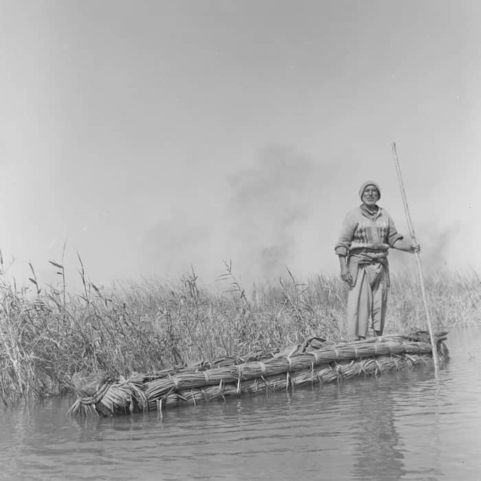 Sasan Moayyedi, The Old Man and the Totan of Hamon Lake, 1981