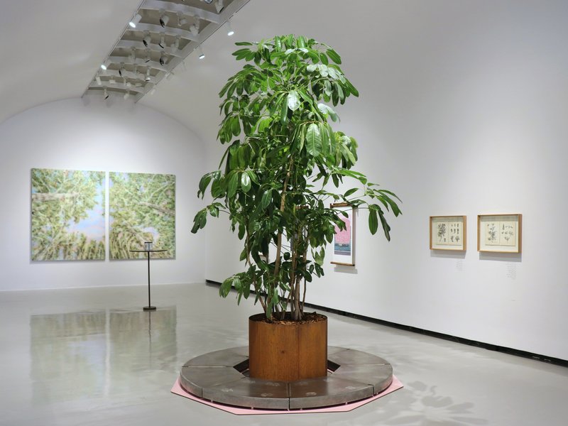 گردون زرین، نمای چیدمان