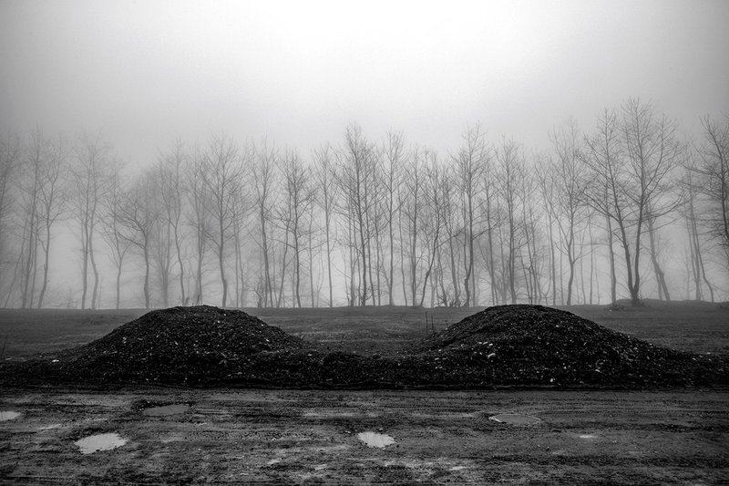 Hamed Khosravi, Gilan Province, Talesh, 2019