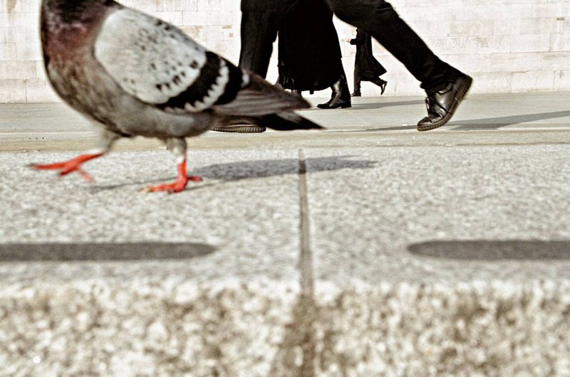 Matt Stuart, Untitled, 0