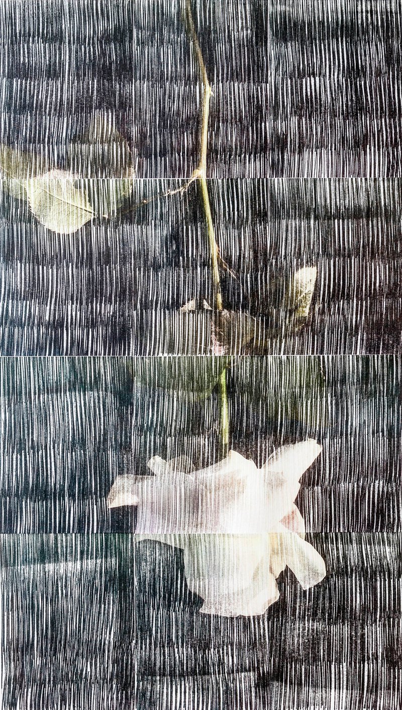 ساسان ابری، بدون عنوان، 1399
