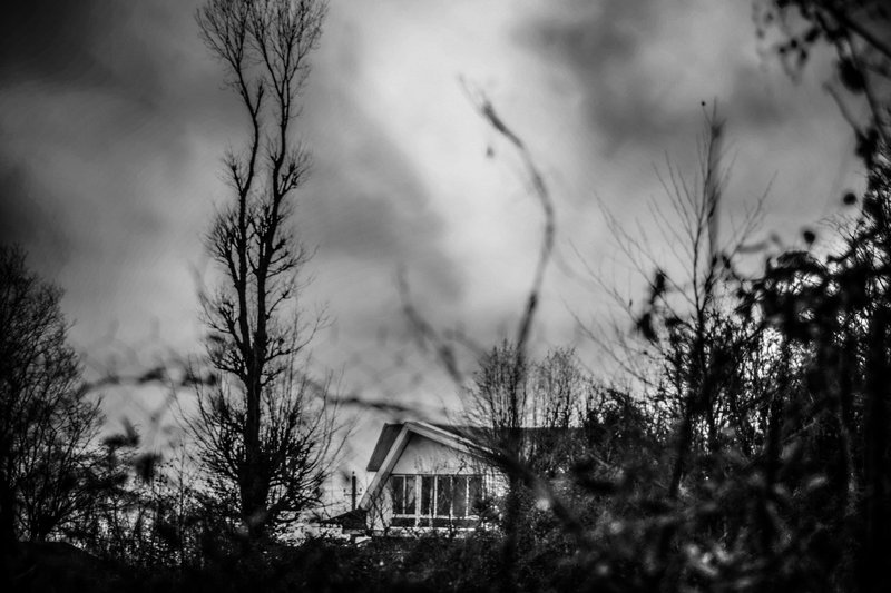 Narges Ranjbar, Untitled, 0
