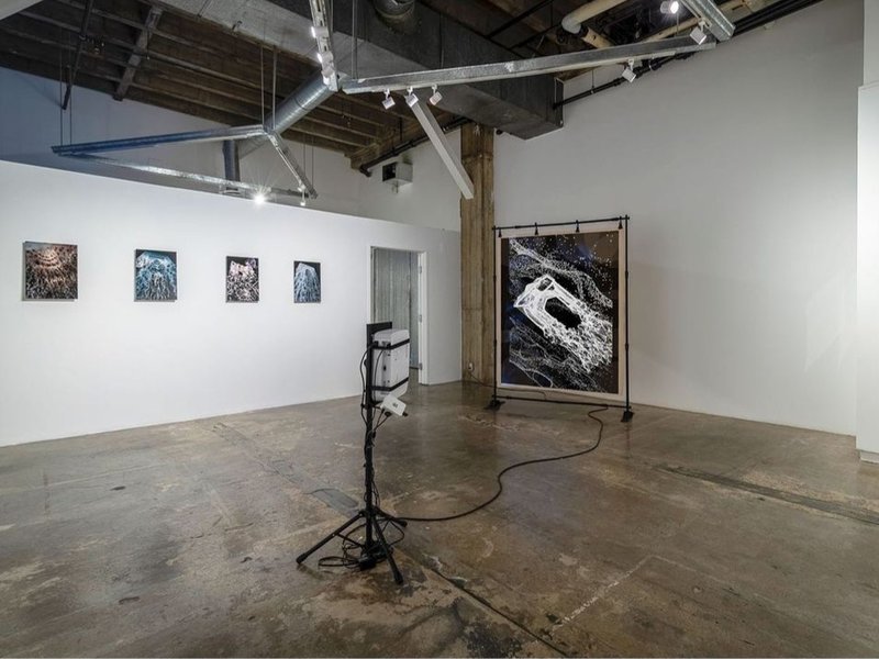 Enfeal, installation view