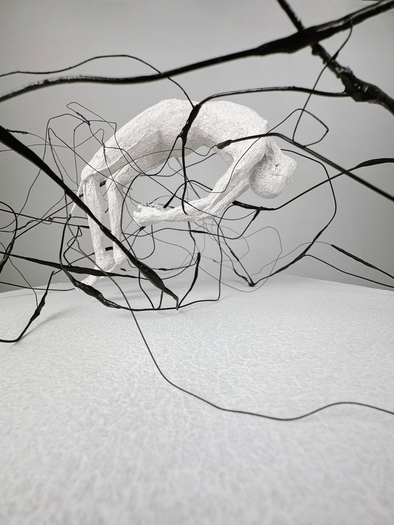 Fatemeh Safari, Untitled, 0