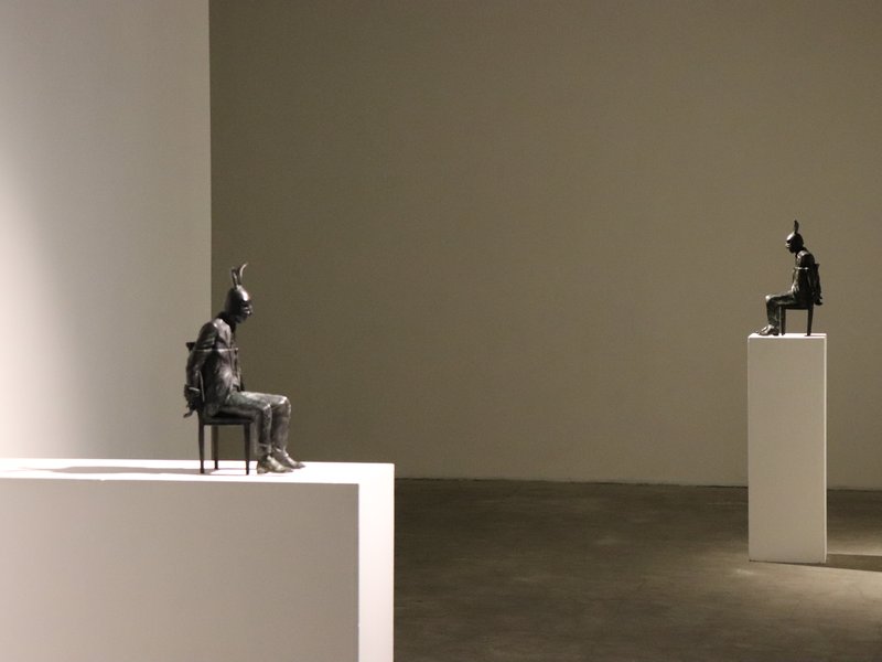 خرگوش، نمای چیدمان