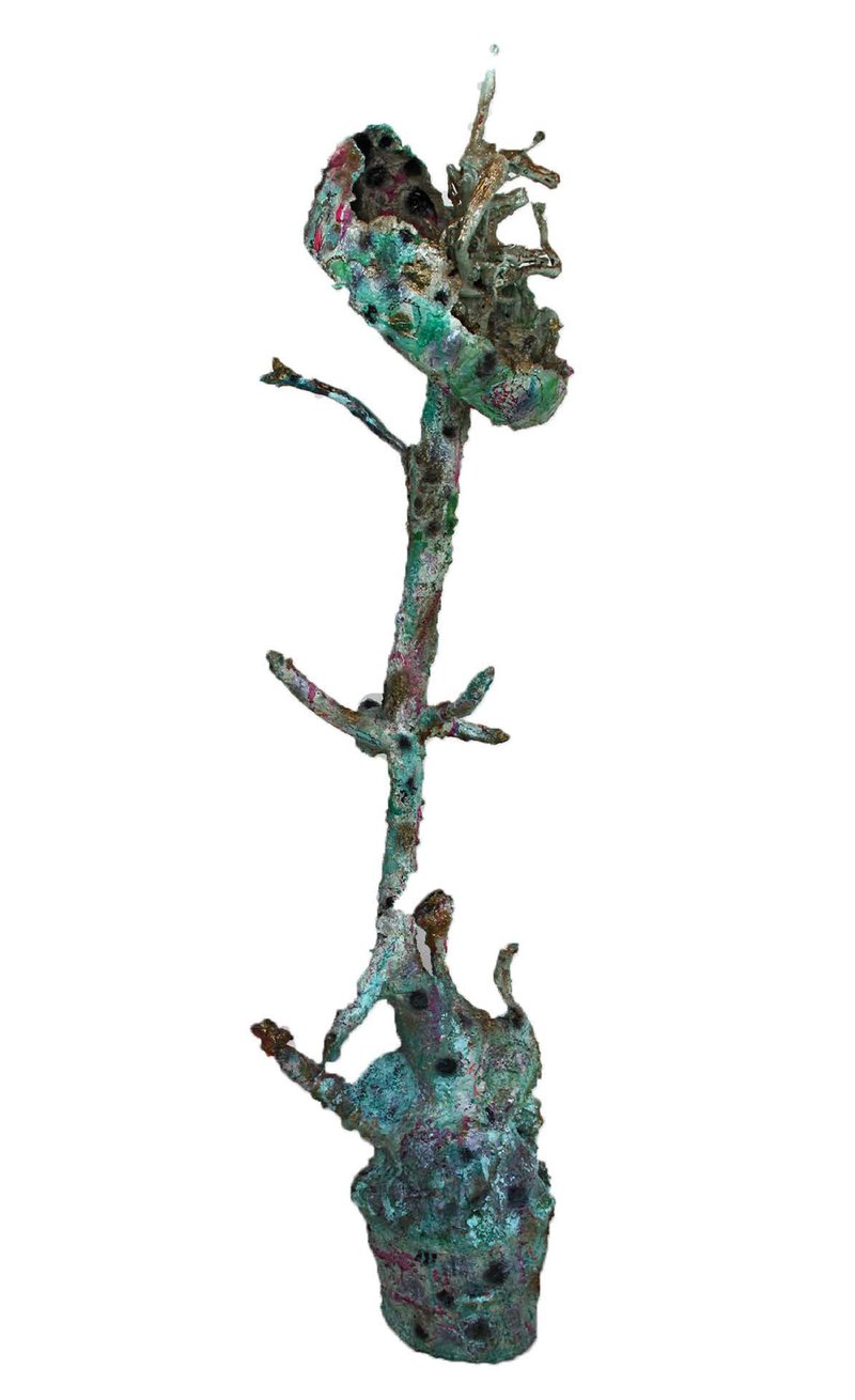Anahita Bagheri, Centaurea Aucheri , 2022