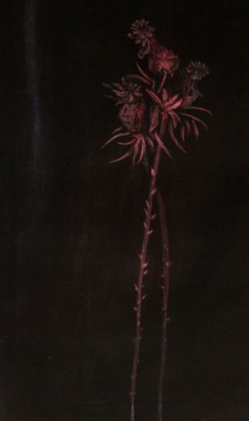 Reyhaneh Afzalian, Untitled, 2021