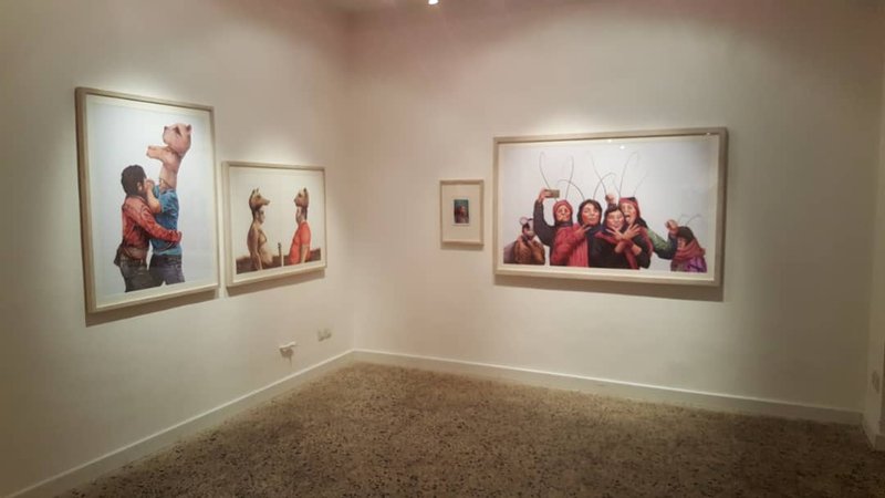Elephant City, installation view