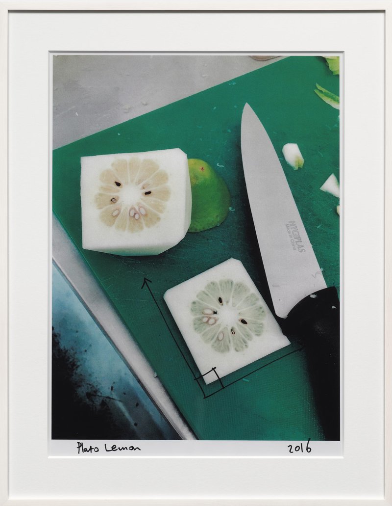 Abbas Zahedi, Plato Lemon, 2016
