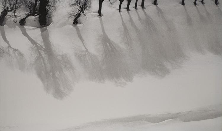 Abbas Kiarostami, Untitled, 2002