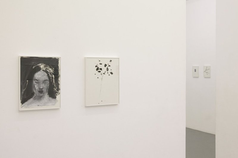 Mindfulness, installation view