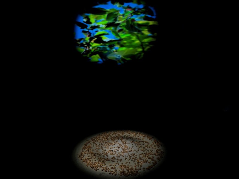 Awaiting Oblivion, installation view
