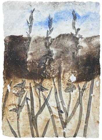 Reyhaneh Afzalian, Untitled, 2026