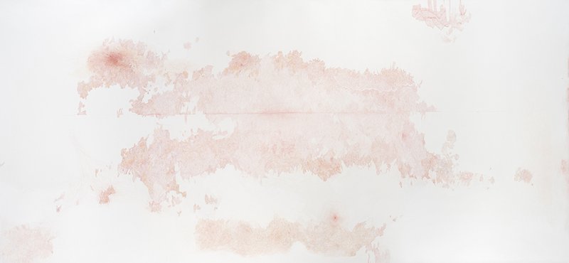 Razieh Sedighian, Untitled, 2020