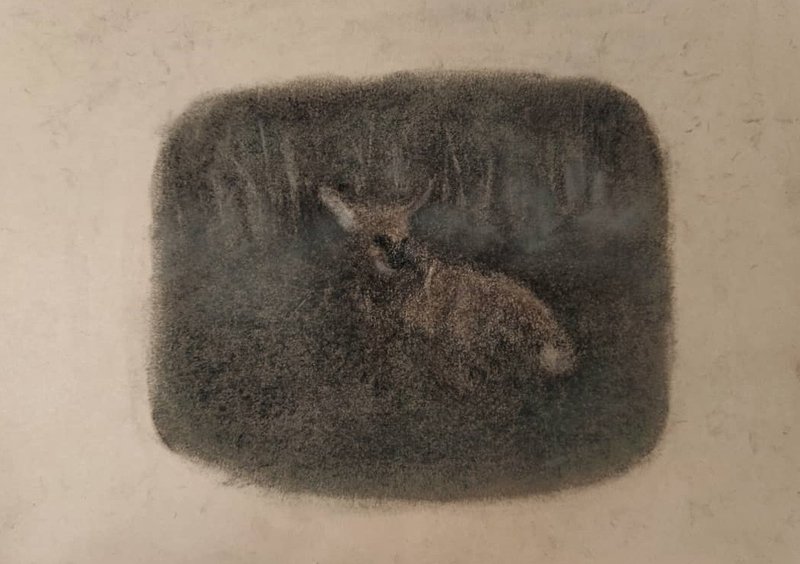 Amin Zeinnizadeh, Untitled, 2020