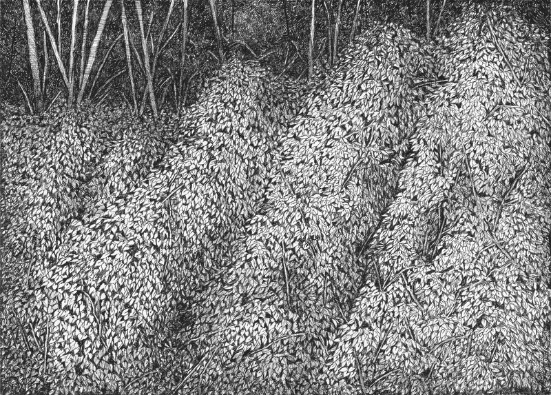Mahsa Arabzadeh, Untitled, 2023