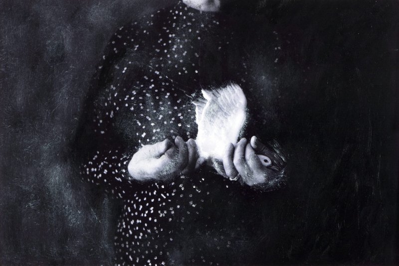 Parisa Aminolahi, Untitled, 2017