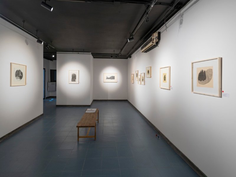 Extinct Condition, installation view