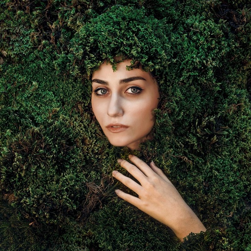 Maryam Firuzi, Untitled, 0