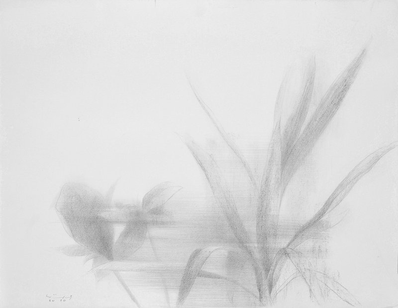 Hamidreza Andarz, Untitled, 2020